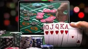 244bet